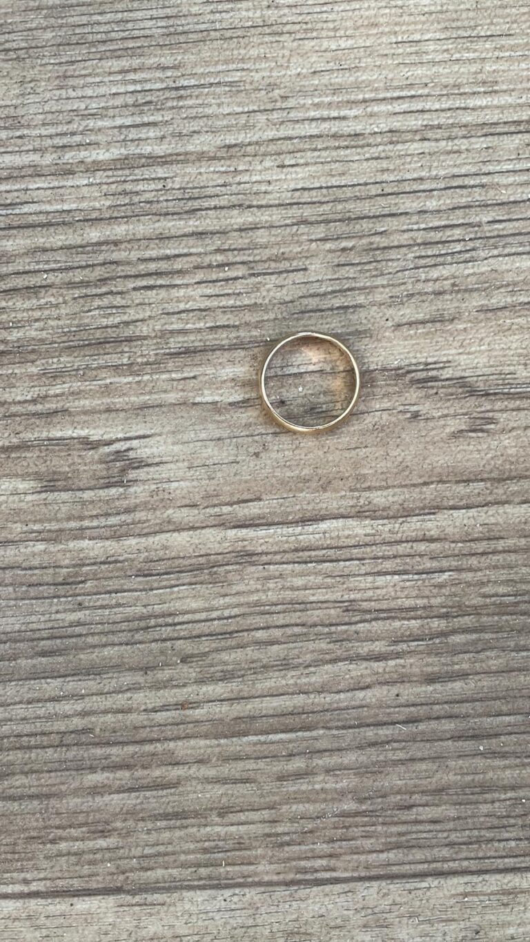 Ring, deel 2